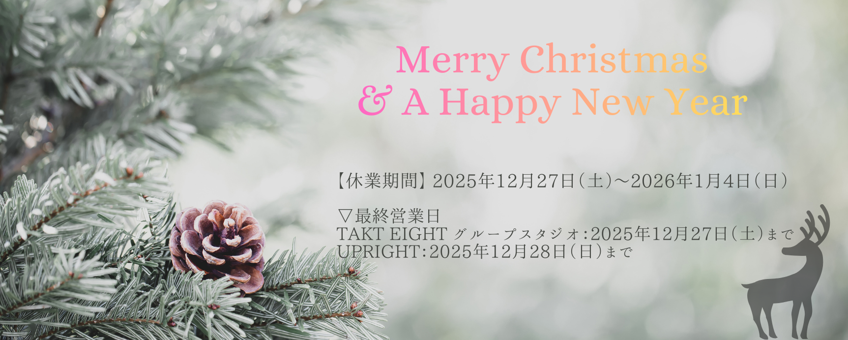 Merry Christmas & A Happy New Year