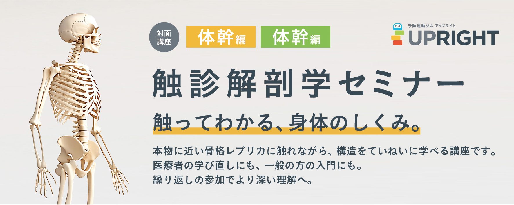 251211_触診解剖学セミナーバナー (1)